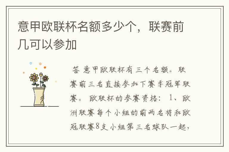 意甲欧联杯名额多少个,联赛前几可以参加