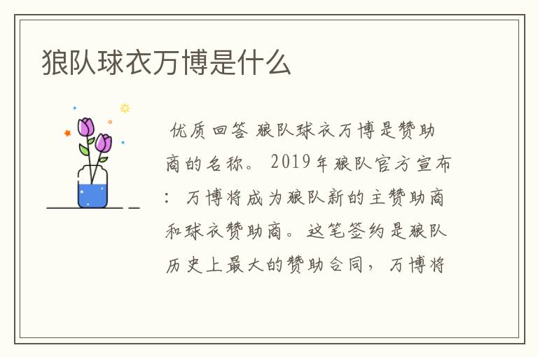 狼队球衣万博是什么