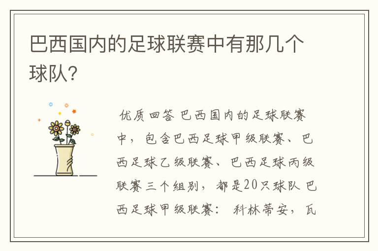 巴西国内的足球联赛中有那几个球队?