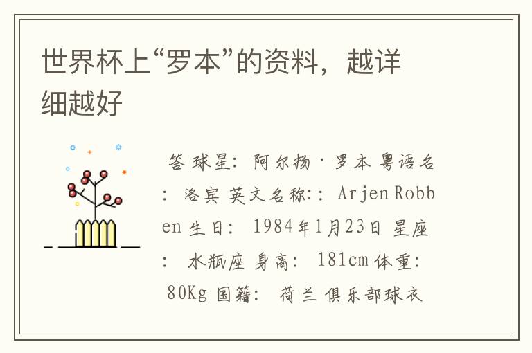 世界杯上“罗本”的资料,越详细越好