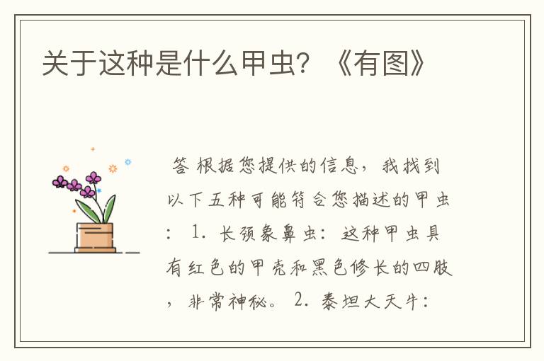 关于这种是什么甲虫?《有图》