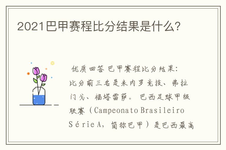 2021巴甲赛程比分结果是什么?