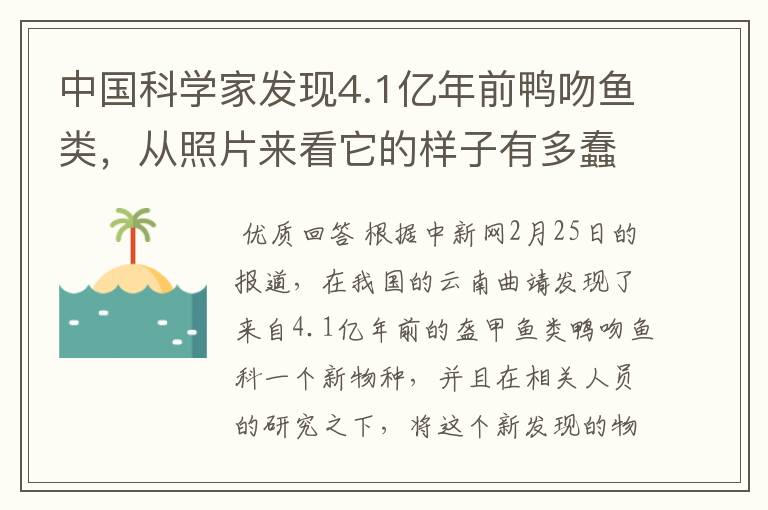 中国科学家发现4.1亿年前鸭吻鱼类,从照片来看它的样子有多蠢萌?