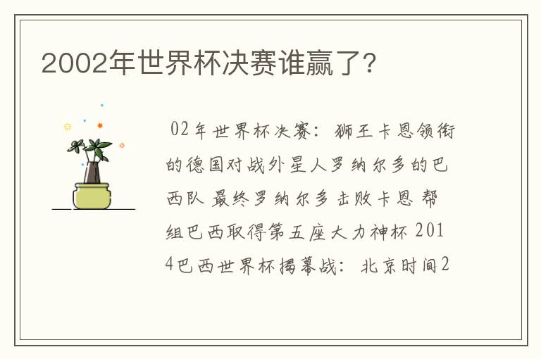 2002年世界杯决赛谁赢了?