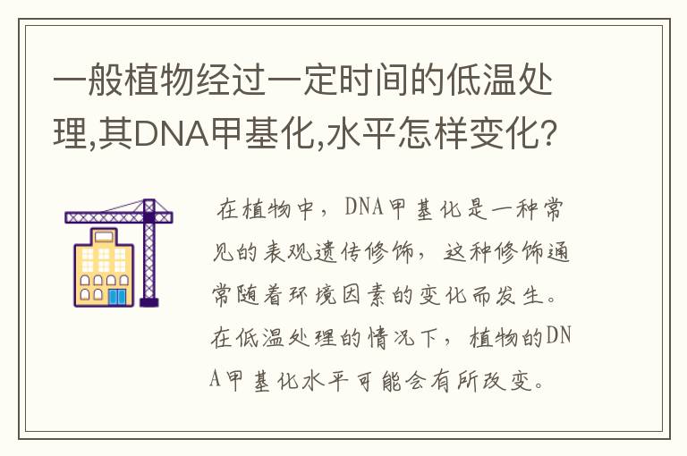 一般植物经过一定时间的低温处理,其DNA甲基化,水平怎样变化?