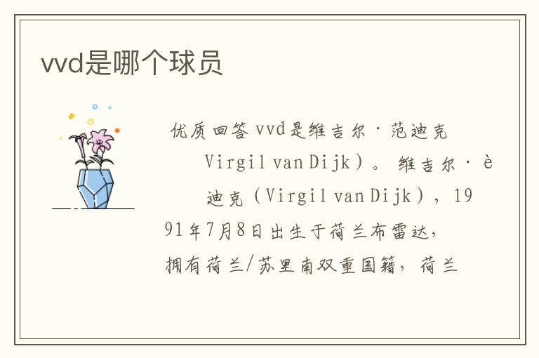 vvd是哪个球员