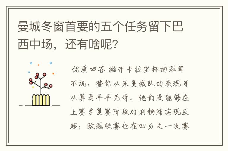 曼城冬窗首要的五个任务留下巴西中场,还有啥呢?