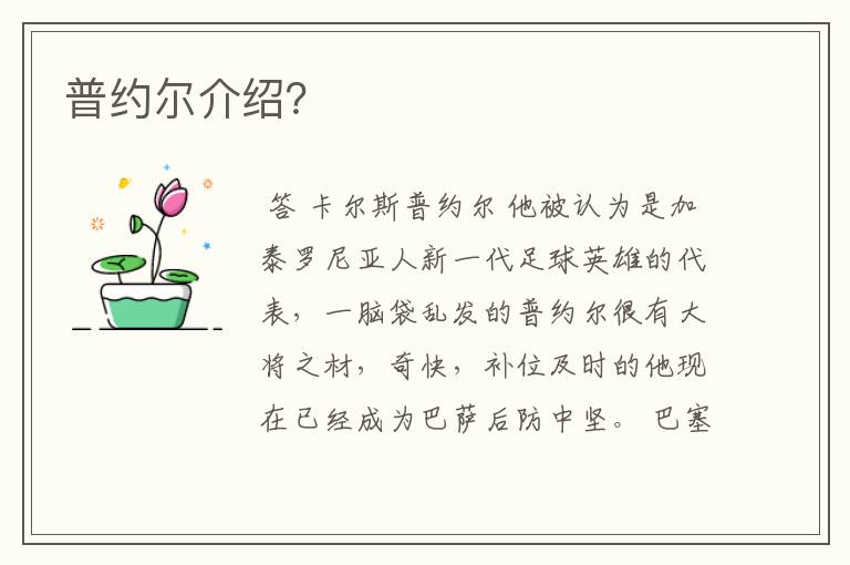 普约尔介绍?