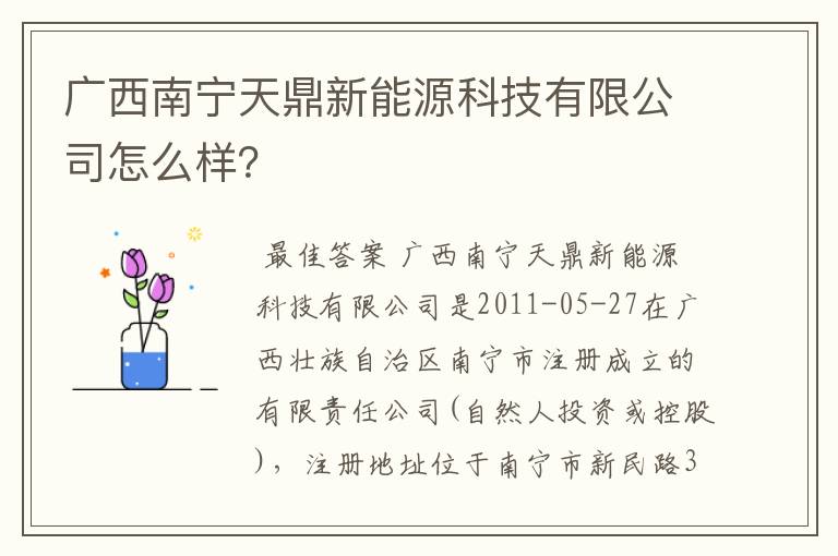 广西南宁天鼎新能源科技有限公司怎么样?