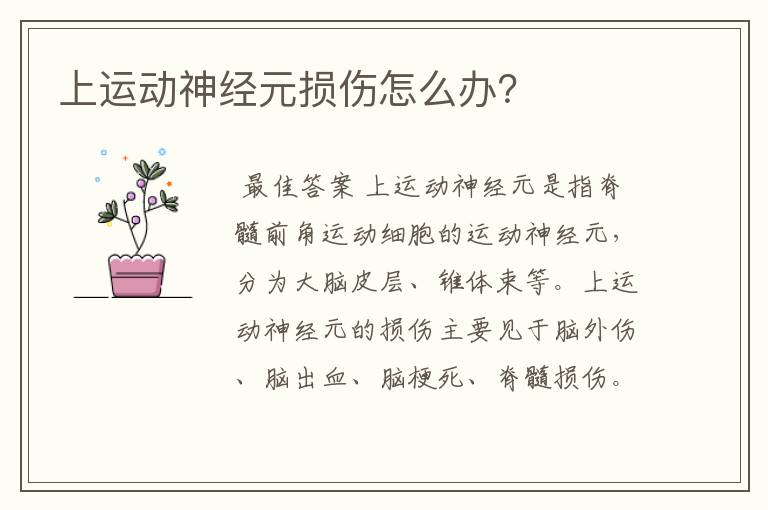上运动神经元损伤怎么办?