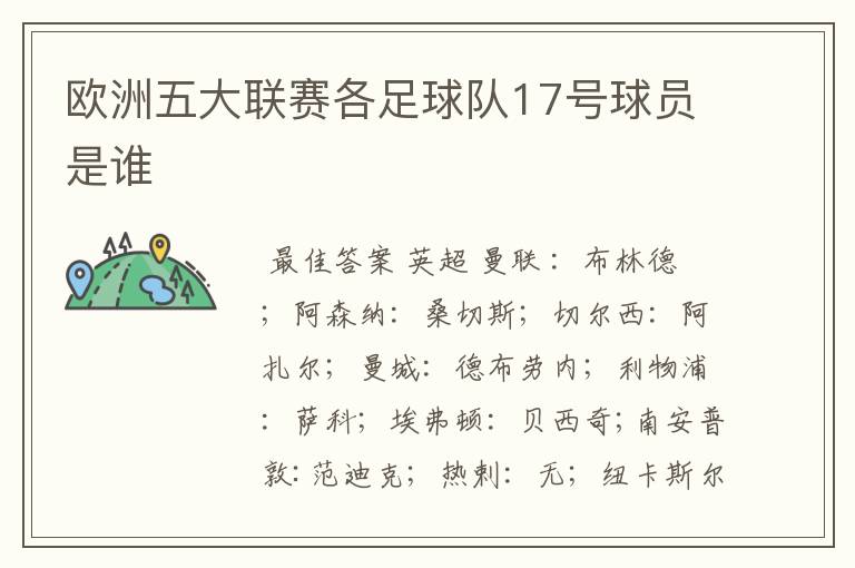 欧洲五大联赛各足球队17号球员是谁