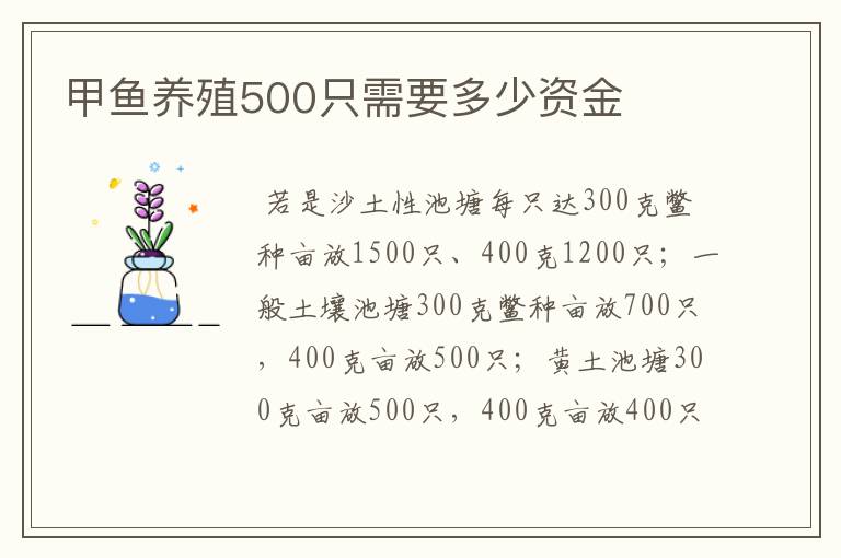 甲鱼养殖500只需要多少资金