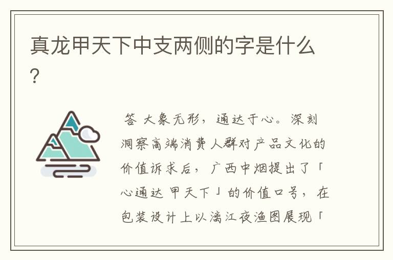 真龙甲天下中支两侧的字是什么?