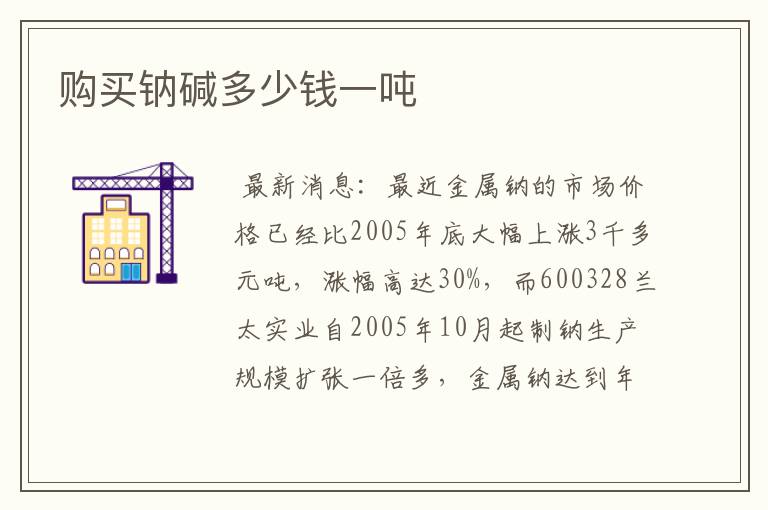 购买钠碱多少钱一吨
