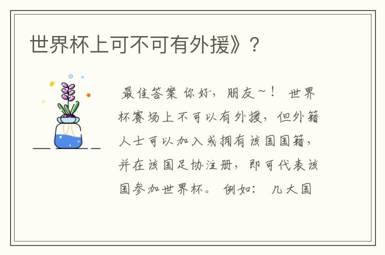 世界杯上可不可有外援》?
