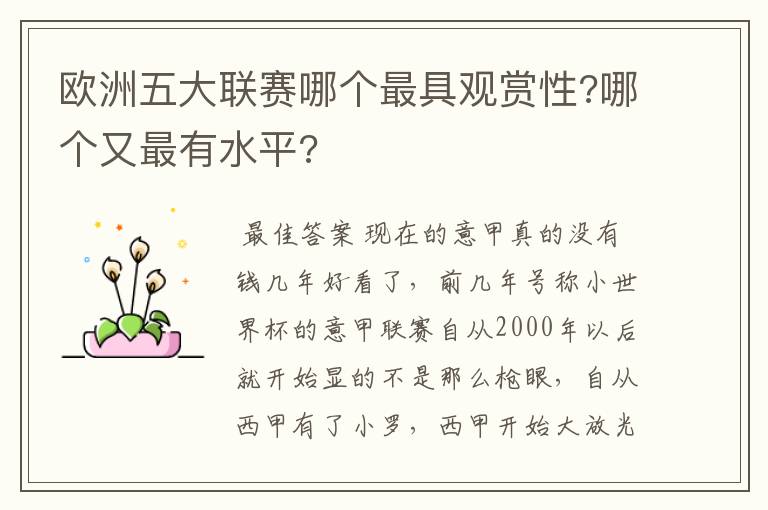 欧洲五大联赛哪个最具观赏性?哪个又最有水平?