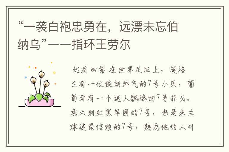 “一袭白袍忠勇在,远漂未忘伯纳乌”一一指环王劳尔