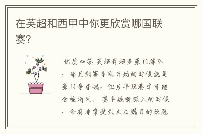 在英超和西甲中你更欣赏哪国联赛?
