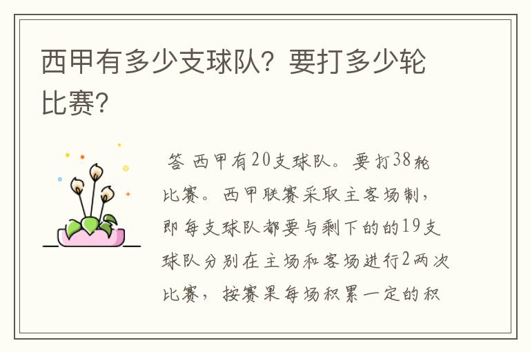 西甲有多少支球队?要打多少轮比赛?
