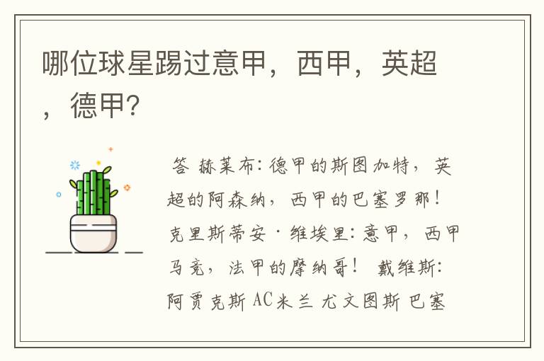 哪位球星踢过意甲,西甲,英超,德甲?