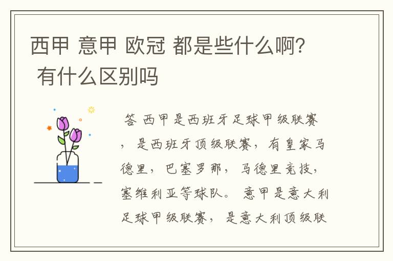 西甲 意甲 欧冠 都是些什么啊? 有什么区别吗