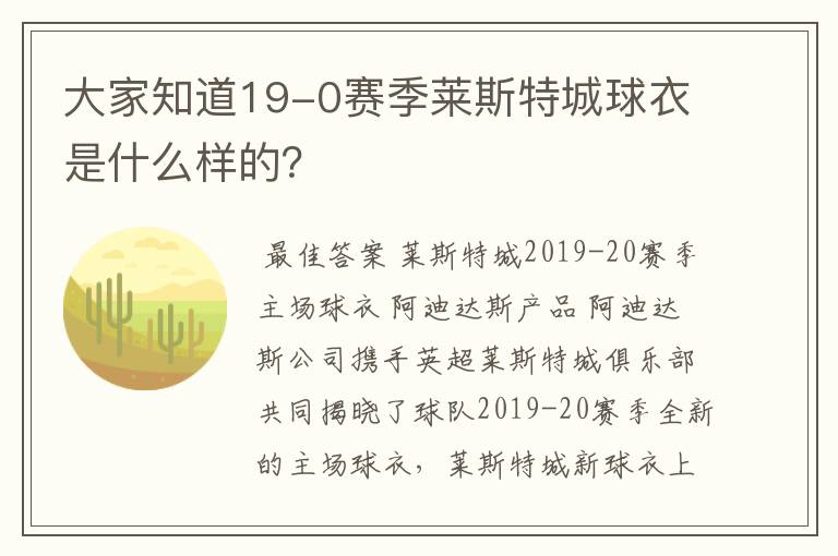 大家知道19-0赛季莱斯特城球衣是什么样的?