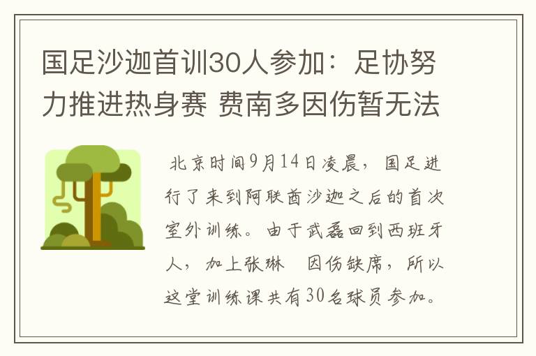 国足沙迦首训30人参加:足协努力推进热身赛 费南多因伤暂无法驰援