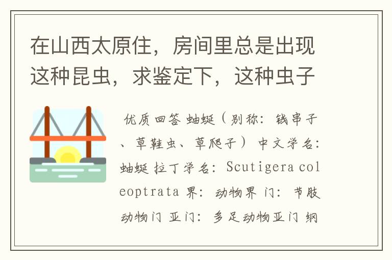 在山西太原住,房间里总是出现这种昆虫,求鉴定下,这种虫子是什么?有没有毒?咬人不?要怎么消灭它们?