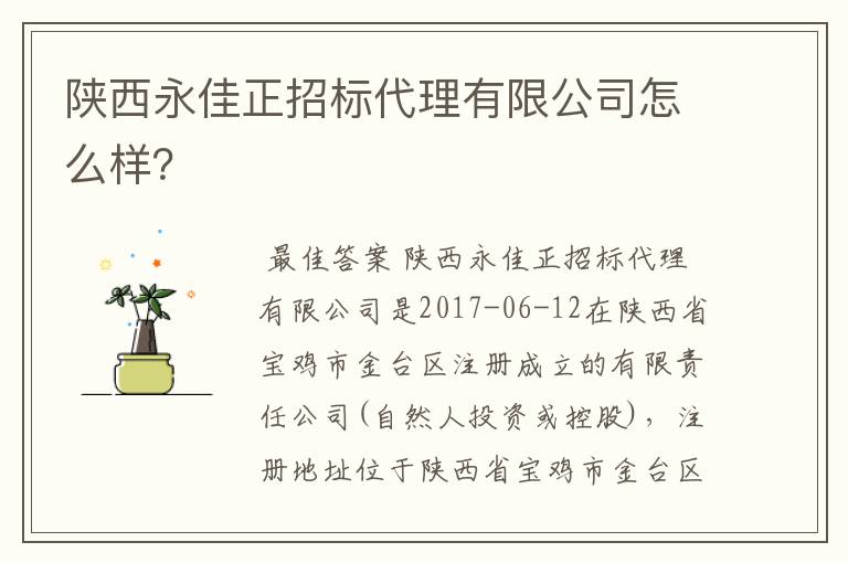 陕西永佳正招标代理有限公司怎么样?