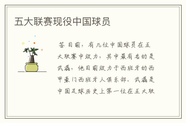 五大联赛现役中国球员