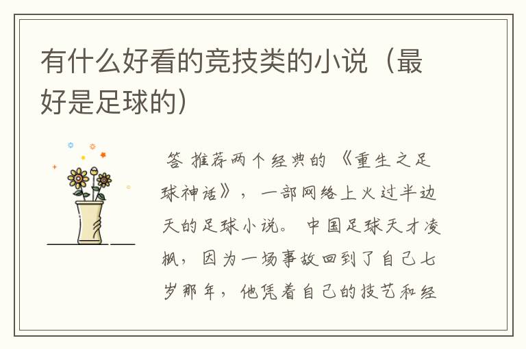 有什么好看的竞技类的小说(最好是足球的)