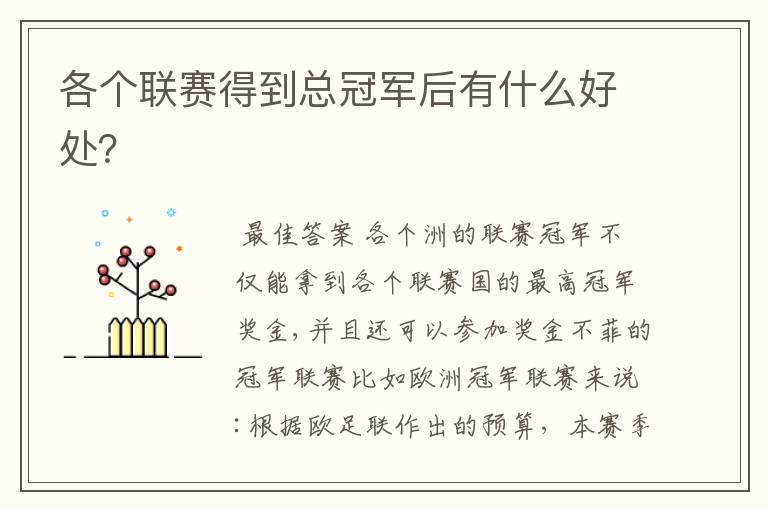 各个联赛得到总冠军后有什么好处?