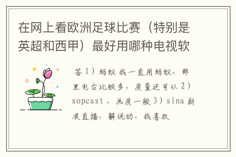 在网上看欧洲足球比赛(特别是英超和西甲)最好用哪种电视软件呢?