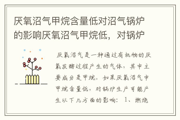 厌氧沼气甲烷含量低对沼气锅炉的影响厌氧沼气甲烷低,对锅炉生产有什么影响?