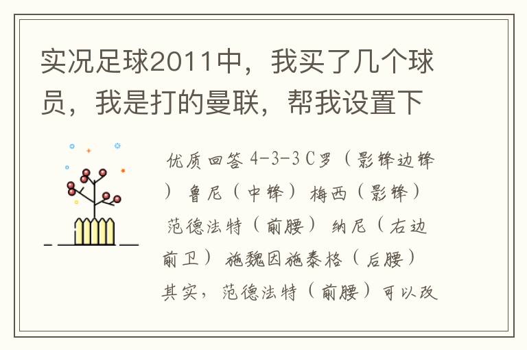 实况足球2011中,我买了几个球员,我是打的曼联,帮我设置下阵型 分别是4-4-2和4-3-3