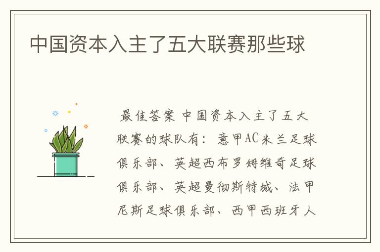 中国资本入主了五大联赛那些球ɘ