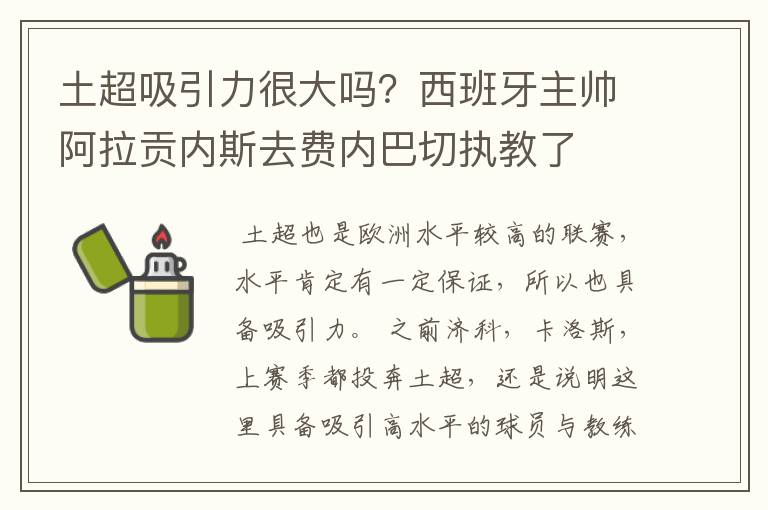 土超吸引力很大吗?西班牙主帅阿拉贡内斯去费内巴切执教了