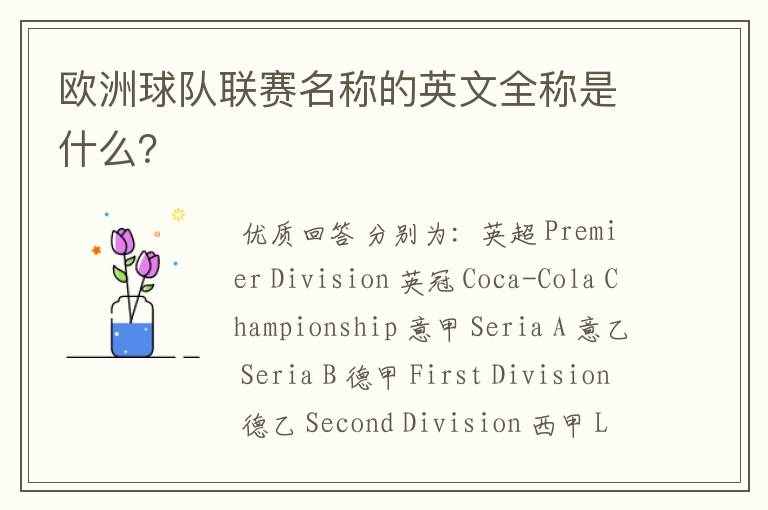 欧洲球队联赛名称的英文全称是什么?