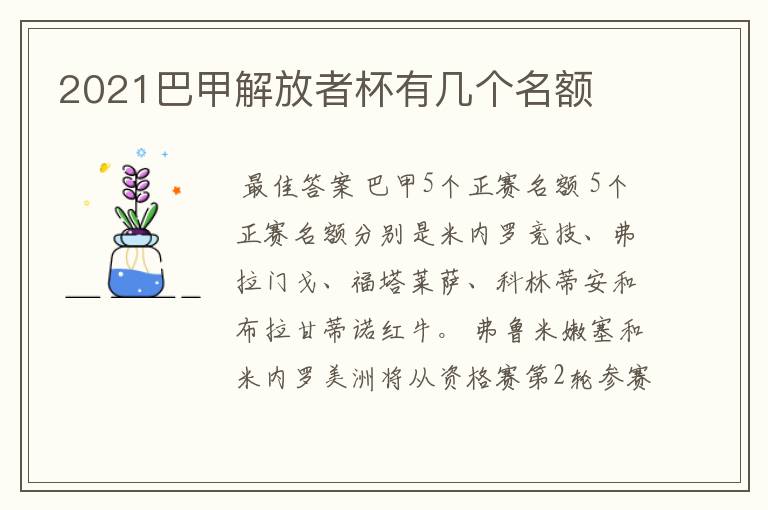 2021巴甲解放者杯有几个名额