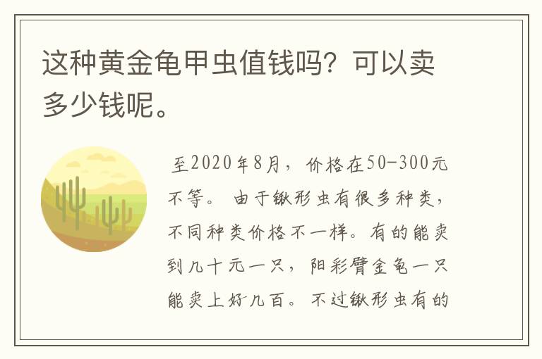 这种黄金龟甲虫值钱吗?可以卖多少钱呢。