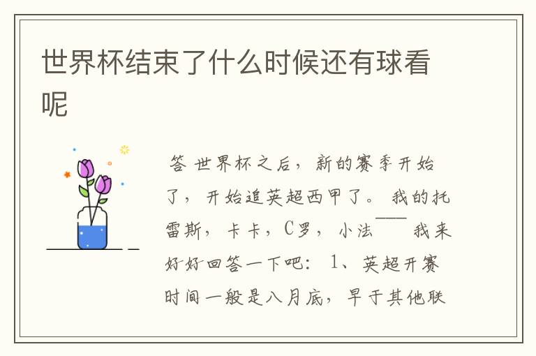 世界杯结束了什么时候还有球看呢