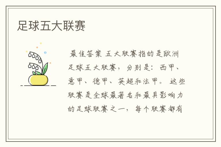 足球五大联赛