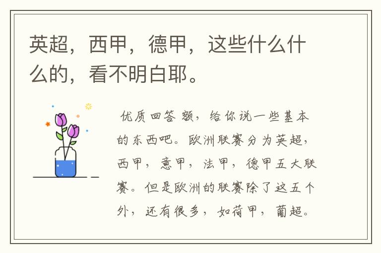 英超,西甲,德甲,这些什么什么的,看不明白耶。