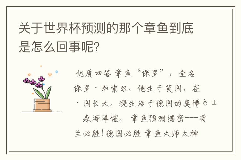 关于世界杯预测的那个章鱼到底是怎么回事呢?