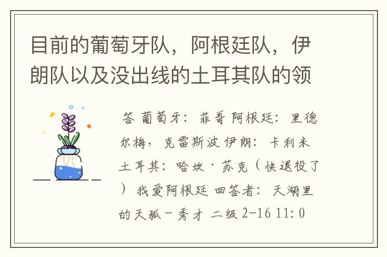 目前的葡萄牙队,阿根廷队,伊朗队以及没出线的土耳其队的领军人物都是谁?