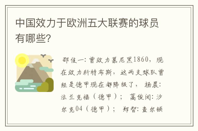 中国效力于欧洲五大联赛的球员有哪些?
