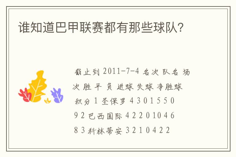 谁知道巴甲联赛都有那些球队?