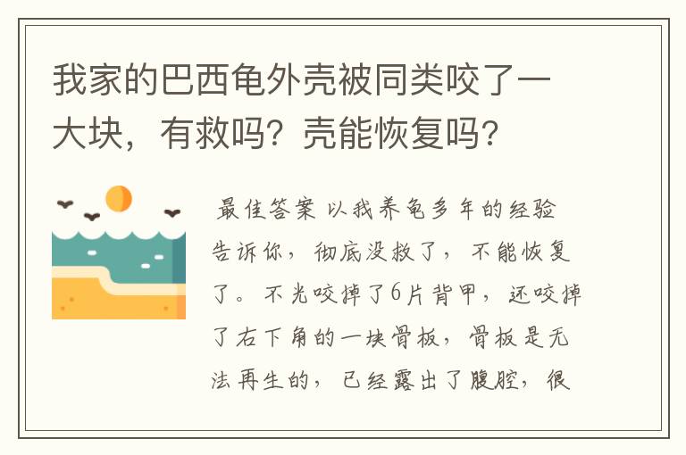 我家的巴西龟外壳被同类咬了一大块,有救吗?壳能恢复吗?