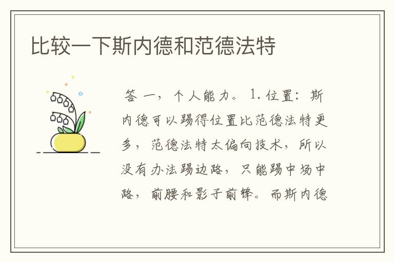比较一下斯内德和范德法特