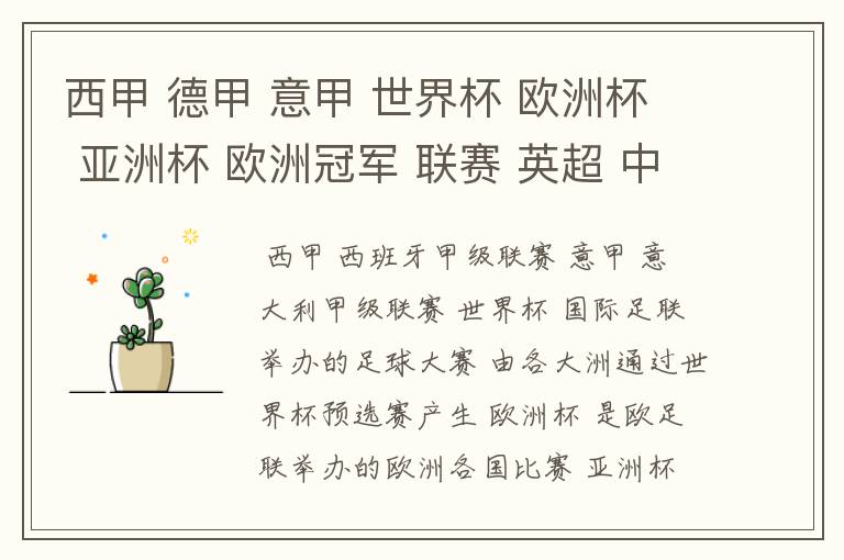 西甲 德甲 意甲 世界杯 欧洲杯 亚洲杯 欧洲冠军 联赛 英超 中超 分别是什么意思啊?